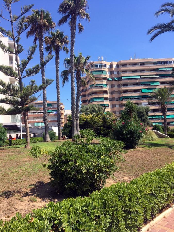Apartmento Hana Con Terraza - Despues De La Renovacion General La Mata  Exterior photo